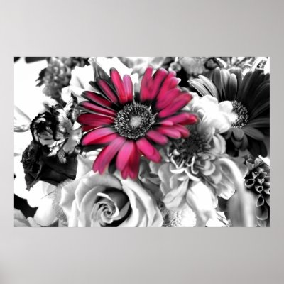 black and white flowers photography. Black and White image of