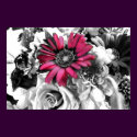 Black & White Bouquet posters