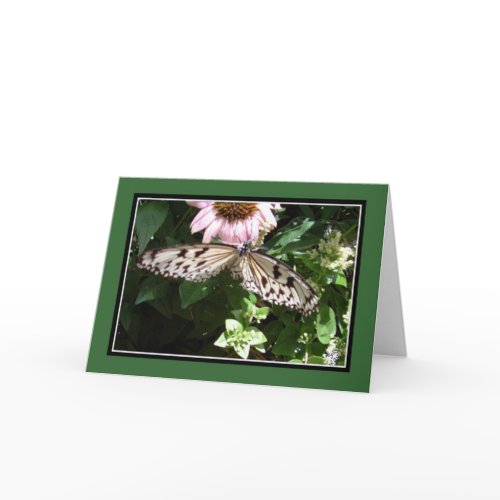 Black & White Butterfly card