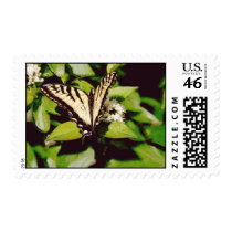Black & White Butterfly postage