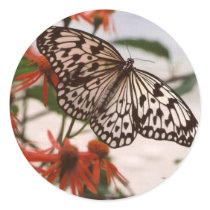 BLACK & WHITE BUTTERFLY WITH ORANGE FLOWERS stickers by kathy10705 BLACK & WHITE BUTTERFLY WITH ORANGE FLOWERS stickers