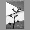 black + white calendars