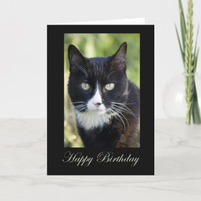 greeting card printing - printable hello kitty valentine card