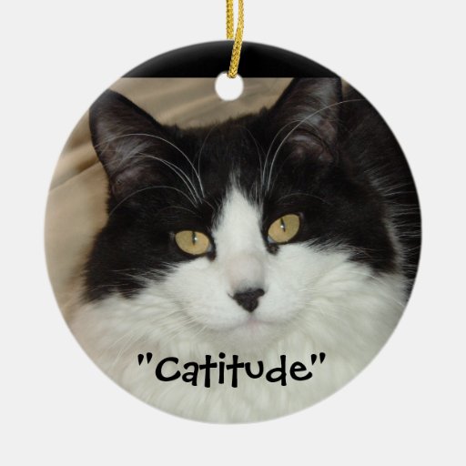 black white cat catitude christmas ornaments zazzle black white cat catitude christmas ornaments zazzle