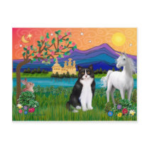 Black & White Cat - Fantasy Land Postcard