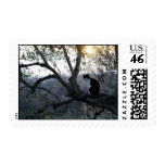 Black & White Cat in a Tree Stamps