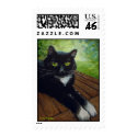 Black & White Cat - Lora Shelley stamp