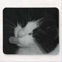 Black & White Cat mousepads by alicattn Black & White Cat mousepads