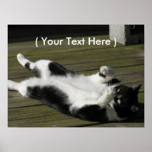 Black & White Cat Print