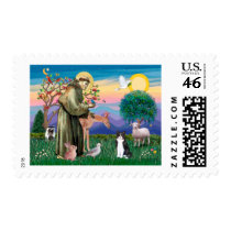 Black & White Cat - Saint Francis Stamp