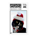 Black & White Cat Santa Hat looking left no frame Stamps