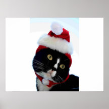 Black & White Cat Santa Hat looking left no frame Posters