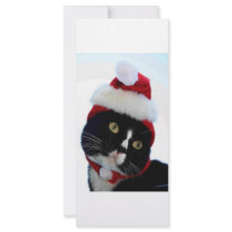 Black & White Cat Santa Hat looking left no frame Rack Card Design