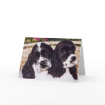 Black & White Cocker puppy card