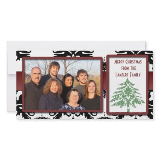 Black & White Damask Green Damask Tree Photo Cards photocard