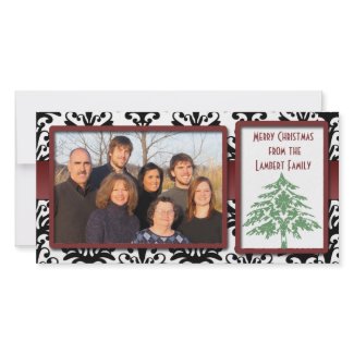 Black & White Damask Green Damask Tree Photo Cards photocard