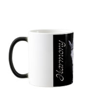 Black & White Duo Dressage Horse mug stein