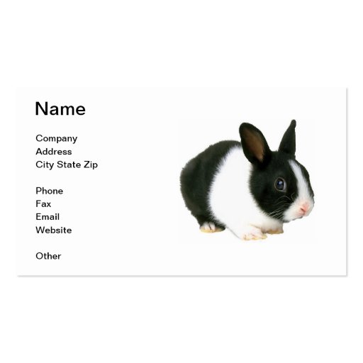 Black & White Dwarf Bunny Rabbit Business Card (front side)