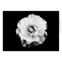 Black & White Elegant Rose Note Card cards
