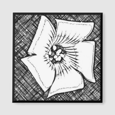 black and white flowers drawings. Black amp; white flower drawing