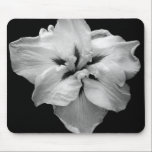 Black & White Flower mousepads