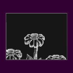 Black & White Flower Sketch
