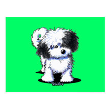 Black & White Havanese Postcards