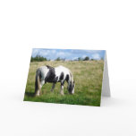 Black & White Horse Blank Greeting Card