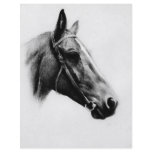 Black & White Horse flyers