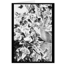Black & White Ivy Greeting Card