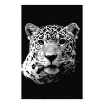 Black & White Jaguar Personalized Stationery