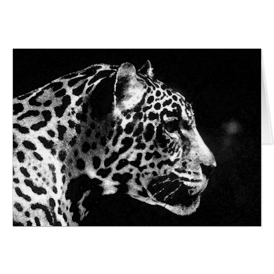 Black & White Jaguar Pop Art Cards by made_in_atlantis