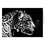 Black & White Jaguar Pop Art cards