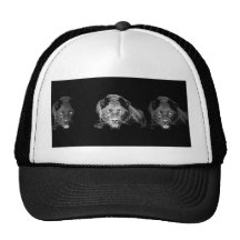 Black & White Jaguar -Wild Cats Mesh Hats
