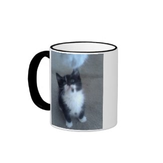 Black & White Kitten Mug mug
