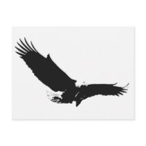 Black & White Landing Eagle Post Cards