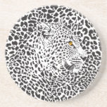 Black & White Leopard Camouflaged In Spots Pattern Beverage Coasters