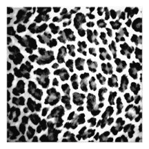 Black & White Leopard Print Personalized Invite