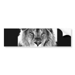 Black & White Lion Bumper Sticker