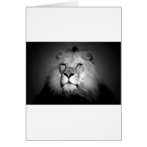 Black & White Lion Greeting Cards