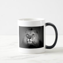 Black & White Lion Mugs