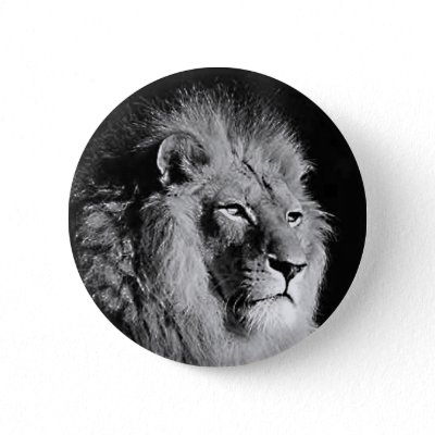 Black &amp; White Lion Photo Pinback Button by made_in_atlantis