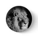 Black & White Lion Photo buttons by made_in_atlantis Black & White Lion Photo buttons