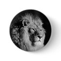 Black & White Lion Photo buttons by made_in_atlantis Black & White Lion Photo buttons