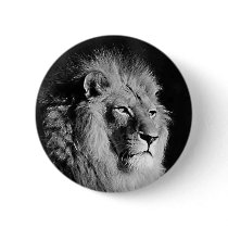 Black & White Lion Photo buttons by made_in_atlantis Black & White Lion Photo buttons