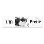 Black & White long-haired Cat Bumper Stickers