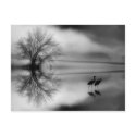 Black & White Morning Post Card postcards by kcranmerart Black & White Morning Post Card postcards
