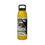 Black & White Nevermore Raven Silhouette Drinking Bottles