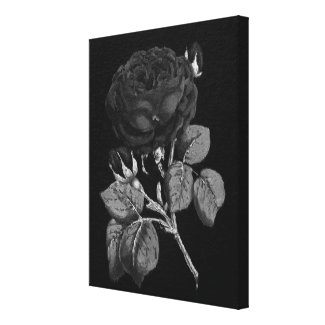 Black&White Painted Rose Canvas Print