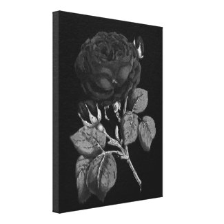 Black&White Painted Rose Canvas Print